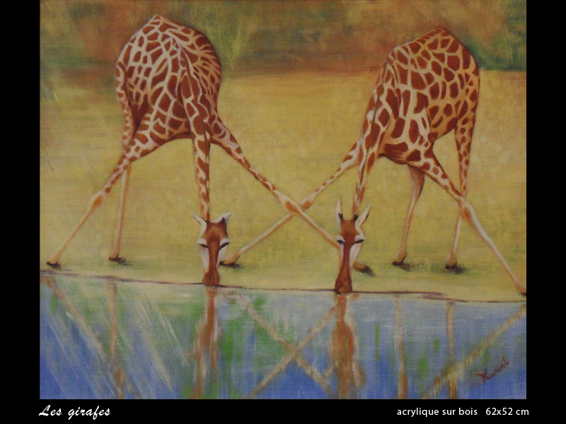 girafes